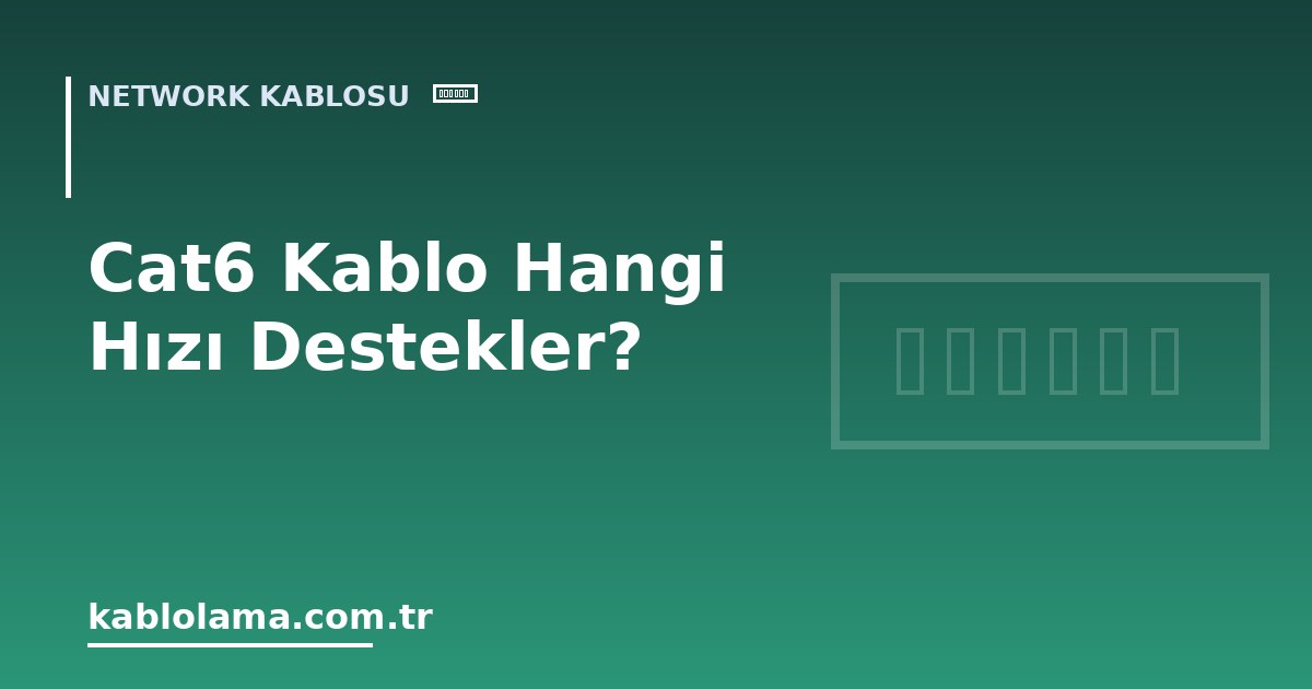 Cat6 Kablo Hangi Hızı Destekler?
